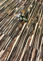 High Glossy Laminate Flooring 11904 - 12mm Class 33