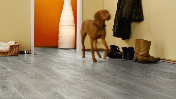 Ламинат Kronotex Mammut Plus D4797 - серебристый дуб