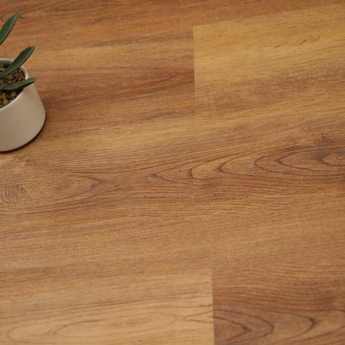 EvoFloor Optima Click Amber Oak Дуб Амбер.