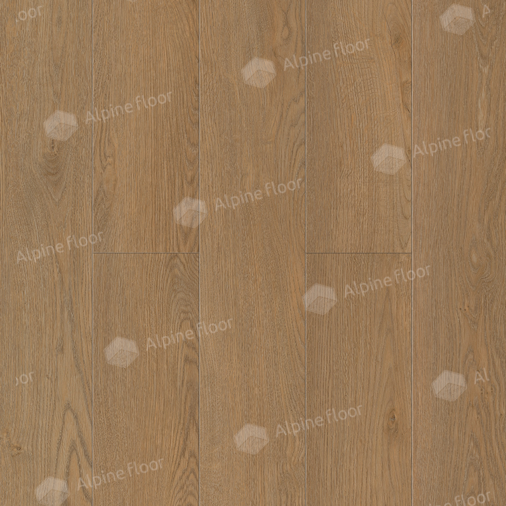 1024-1024-max.png