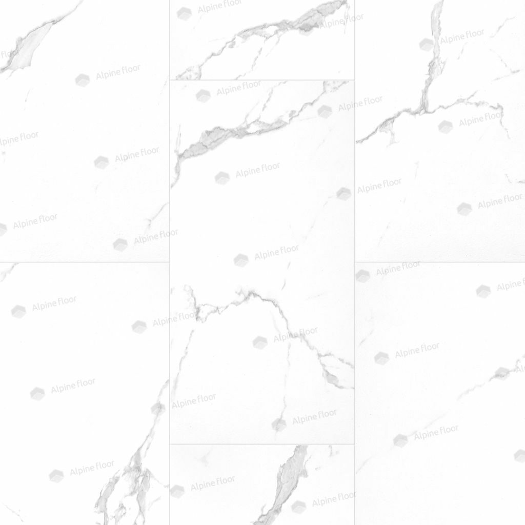 1024-1024-max_-_2026-03-10t134438.249.jpg