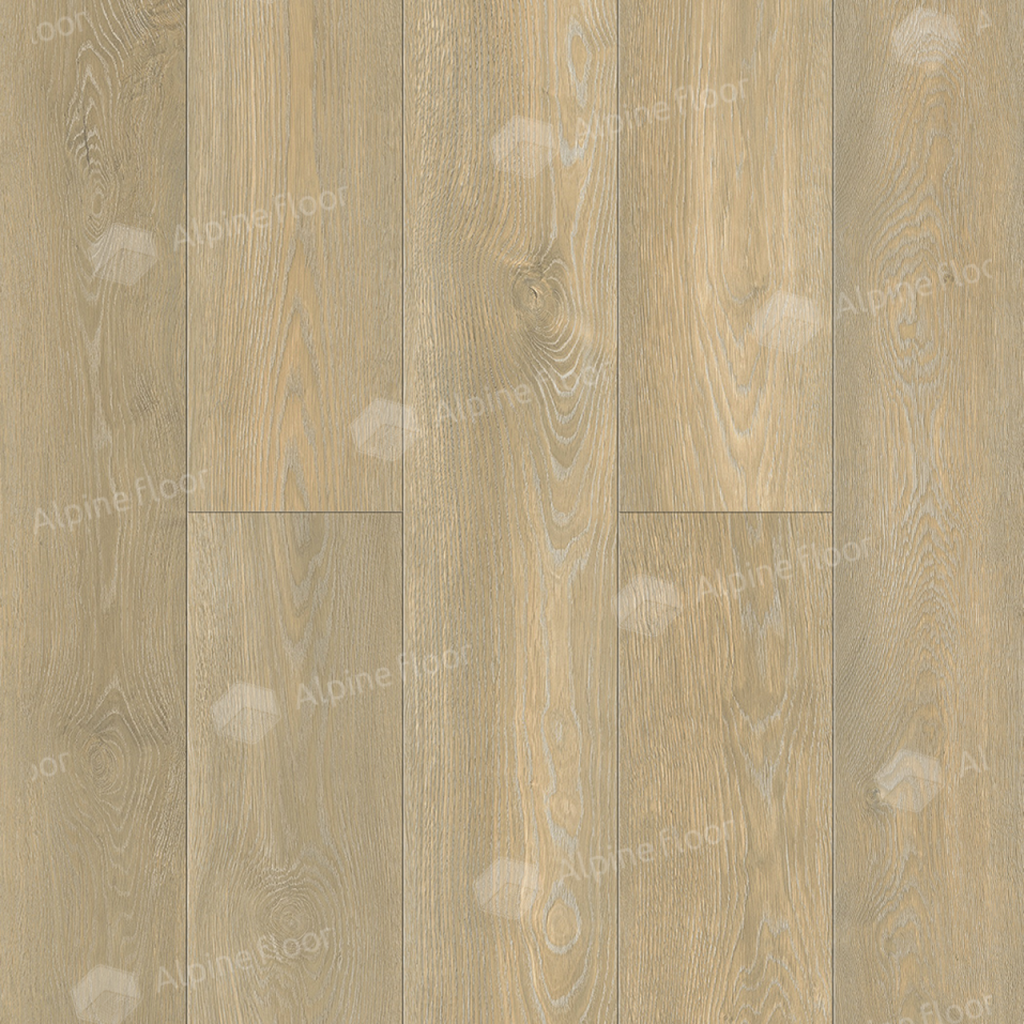 1024-1024-max_16.png