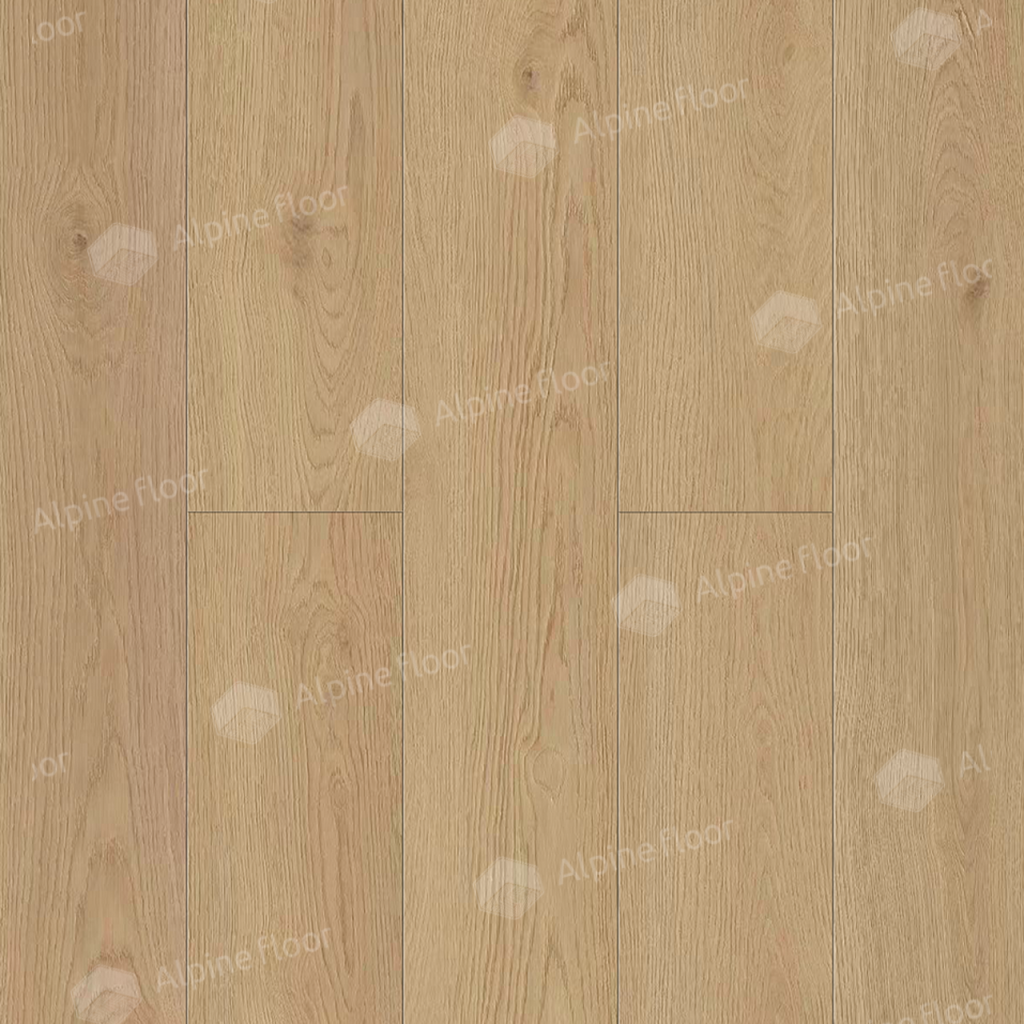 1024-1024-max_17.png