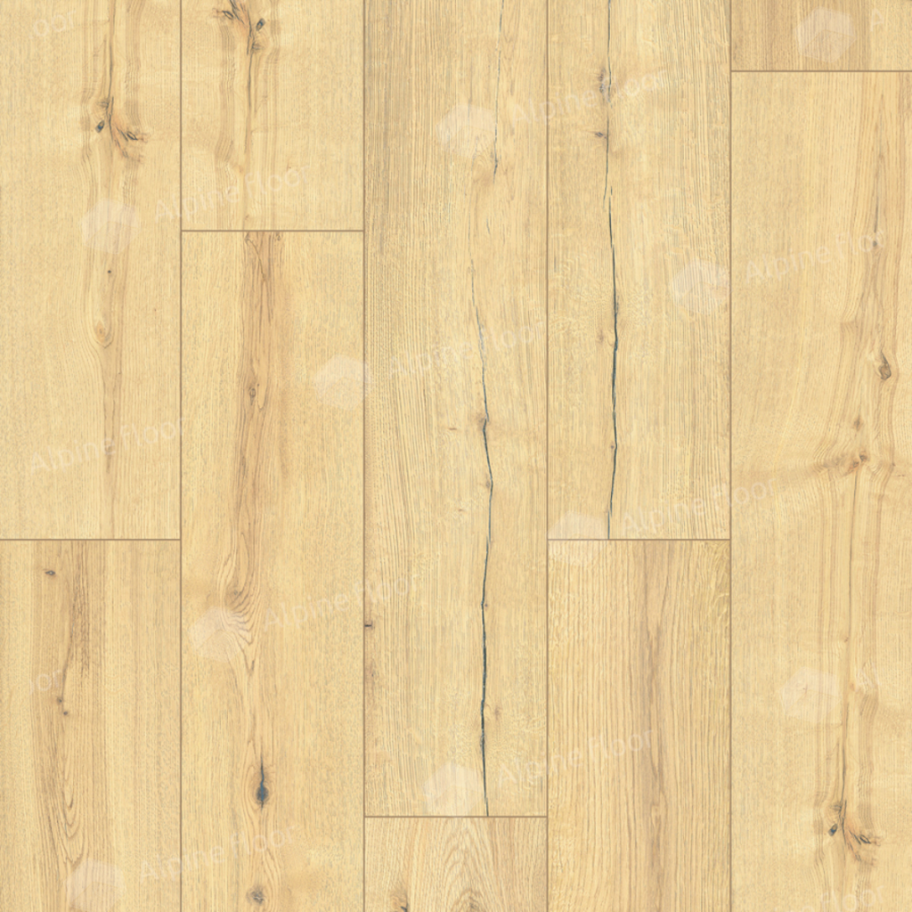 1024-1024-max_52.png