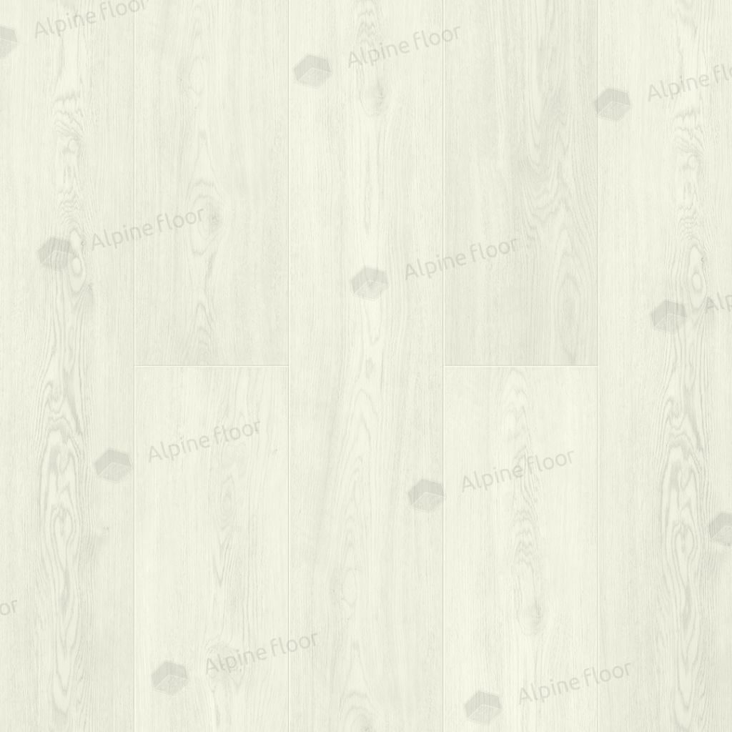 1024-1024-max_7.jpg