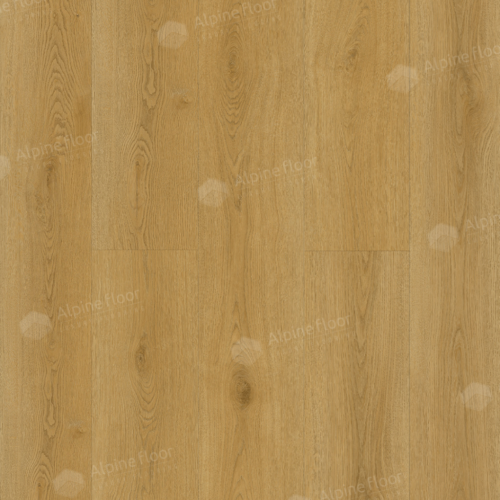 1024-1024-max_7.png