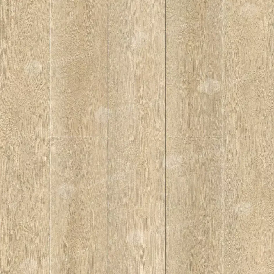 9-13_pano.webp