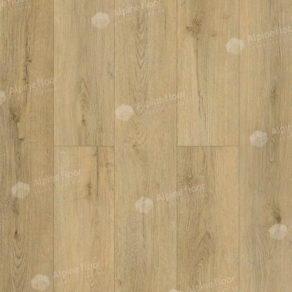 eco21-26.webp